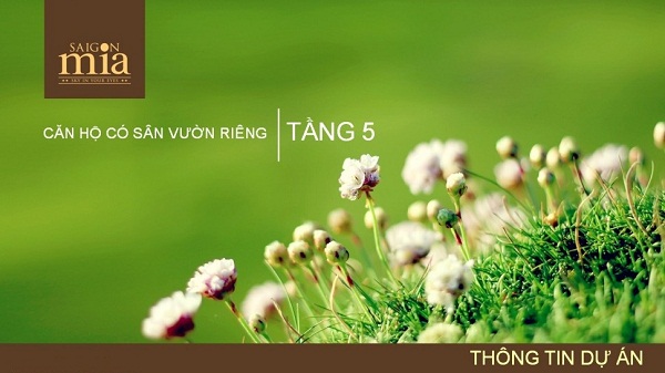 tầng 5 căn hộ sài gòn mia