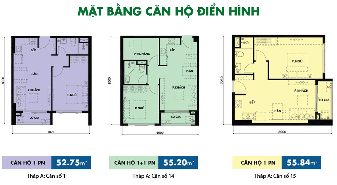 Thiết kế căn hộ Tháp A - Botanica Premier